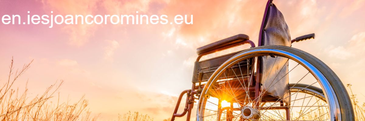 en.iesjoancoromines.eu